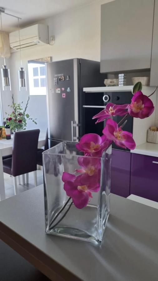 Apartment Natasha Biograd Na Moru Exterior photo